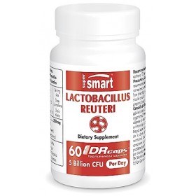 Lactobacillus Reuteri - Complément pour le Confort Digestif - 5 milliards UFC par Jour - Contribue à la Santé du Transit Inte