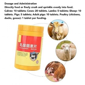 Tnfeeon 1000 Pcs Probiotique Lactobacillus Comprimés Flore Intestinale Saine Absorption Optimale des Nutriments pour Bétail P