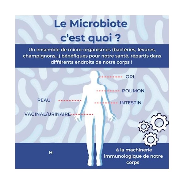 MICROBIOTE FORT SÉNIOR 50+ • Nourrir la Flore • Répond aux besoins spécifiques des plus de 50 ans • PROBIOTIQUES + PRÉBIOTIQU