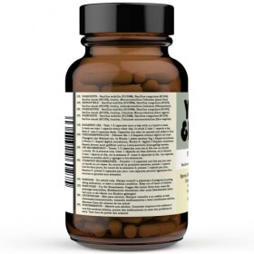 Spore Probiotic Bacillus subtilis HU58®, Bacillus coagulans, Bacillus clausii 60 x 4 milliards CFU