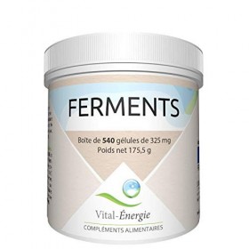 Vital-Energie Ferments 540 gélules