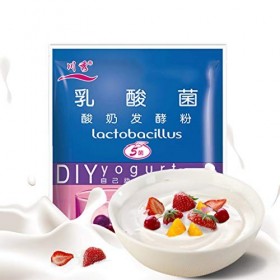 LChiic Ferments Yaourt - Pack De 10 Sachets De Culture Lyophilisée pour Yogourt Probiotique