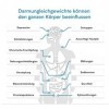 Statut intestinal - Test de santé intestinale et parasitaire - Test de selles sur bactéries intestinales, candida, Helicobact