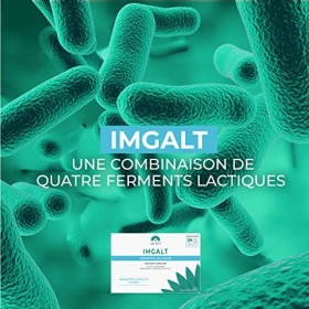 IMGALT 60 Gélules | Pour aider au maintien de l’équilibre de la flore intestinale | 4 milliards de ferments lactiques | Fabri