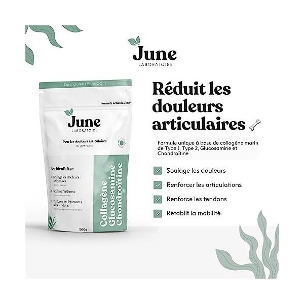 Collagène Glucosamine Chondroïtine en Poudre 200G - Réduire les Douleurs Articulaires - Formule Articulation - June Laboratoi