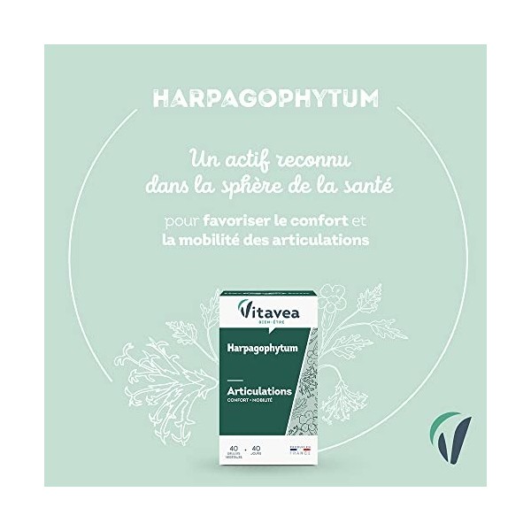 Vitavea - Complément alimentaire articulations - Harpagophytum - confort mobilité souplesse articulaire - 40 gélules végétale