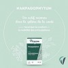 Vitavea - Complément alimentaire articulations - Harpagophytum - confort mobilité souplesse articulaire - 40 gélules végétale