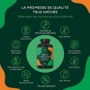 Moule Verte de Nouvelle Zélande - 450 gélules 500mg - 2000mg par jour - green lipped mussel - Moule aux orles verts - Testé