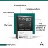 ARAGAN - Synactifs - Flexactifs - Complément Alimentaire Bien-Etre Articulaire - Glucosamine, Harpagophytum, Curcuma, Eucalyp