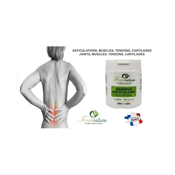 Raideur Articulaire - Glucosamine Chondroitine MSM –Collagène Marin - Articulations, Tendons, Mobilité – Douleurs articulaire