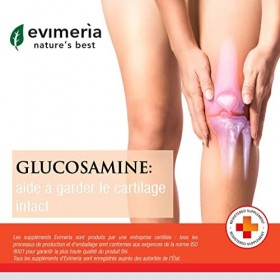 EVIMERIA Supplément Glucosamine & Chondroitine Complex | avec Boswellia et MSM | Collagène marin | Vitamine C |Sans OGM, glut