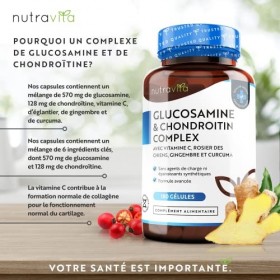 Glucosamine et Chondroitine Complex avec Vitamine C, Extrait de Rose Musquée et de Gingembre et Curcuma - Glucosamine Chondro