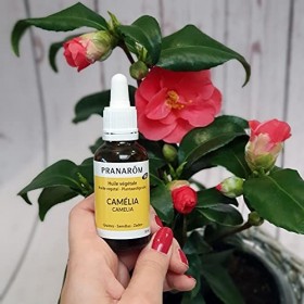 Pranarôm - Huile Végétale Camélia Bio - Flacon 30 ml