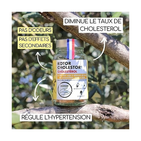 KOTOR CHOLESTOR | AIL NOIR FERMENTÉ 3x | ULTRA RICHE en SAC 2mg | Santé Cardiovasculaire & Hyper tension | + Extrait de feu