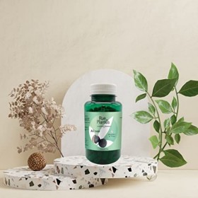 Ail noir Allium sativum 120 gélules de 595mg - Complément alimentaire formulé exclusivement à partir dail noir - 2 mois de