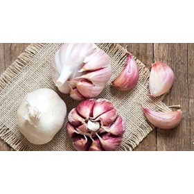 Indigo Herbs Teinture de Ail 100ml