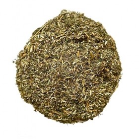 Tisane Alfalfa Luzerne plante 100 GRS CT Medicago sativa