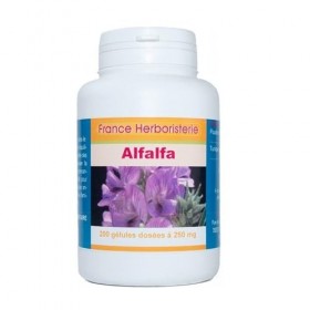 GELULES ALFALFA dosées à 250 mg 200 gélules.