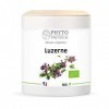 Luzerne semence – Alfafa – Medicago sativa – 180 gélules 250 MG BIO 