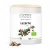 Luzerne semence – Alfafa – Medicago sativa – 180 gélules 250 MG BIO 
