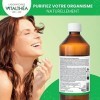 JUS PREMIUM ALOE VERA | Gel liquide Aloès Biologique avec pulpe à boire 98% | Antioxydants naturels | Renfort Défenses immuni