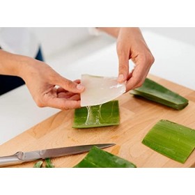 Gel à boire bio à laloe vera pur 99,7 % 1 x 1000 ml 