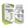 Andrographis Paniculata 400mg 90 Capsules, Testé par un Laboratoire tiers, supplément très puissant, sans gluten ni OGM