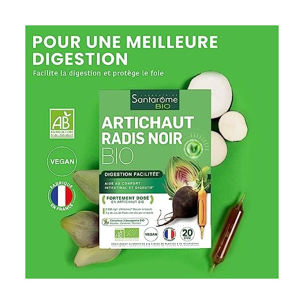 Santarome Bio - Artichaut Bio Radis Noir Bio - Complément alimentaire foie et digestion - Digestion facilitée - Fortement dos