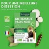 Santarome Bio - Artichaut Bio Radis Noir Bio - Complément alimentaire foie et digestion - Digestion facilitée - Fortement dos