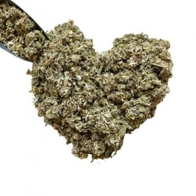 Tisane Artichaut feuille CT 100 GRS Cynara scolymus