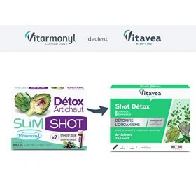 Vitavea - Shot Détox - Complément Alimentaire Détox Foie, Transit Intestinal, Draineur - Silhouette Affinée - Artichaut, Thé 