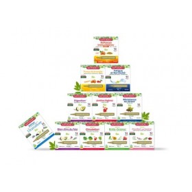 SUPERDIET- QUATUOR DIGESTION BIO-Digestion facile-Format nomade- Radis noir, Artichaut, Chardon Marie, Romarin- 20 Unidoses d