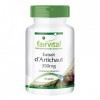 Fairvital | Artichaut 350mg - set pour pendant 3 mois - VEGAN - Fortement dosé - 100 caps - standardisé à 2,5% Cynarine