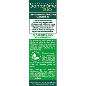 Santarome Bio - Confort Digestif Bio | Complément Alimentaire Détox et Digestion | Soutient le Métabolisme des Graisses & Glu