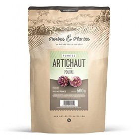 Artichaut Feuille Poudre 500 g