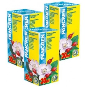 Pancren Phyto Concentré - Pack de 3 - Cours de 21 jours - Extraits de plantes naturelles - Régénération efficace du pancréas 