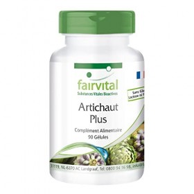 Fairvital | Artichaut Plus VEGAN - 90 capsules - avec lextrait dortie 10: 1 et genièvre