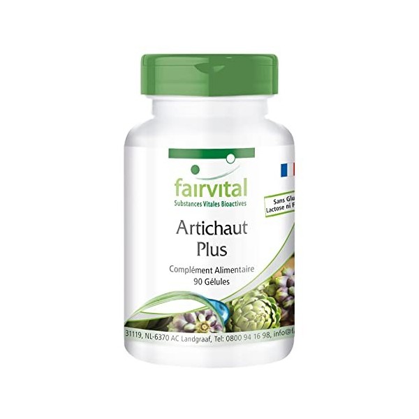 Fairvital | Artichaut Plus VEGAN - 90 capsules - avec lextrait dortie 10: 1 et genièvre