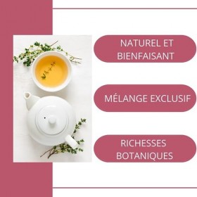Rooibos Drainant : la tisane tropicale pour éliminer les excès en douceur | Naturelle et Délicieusement Fruité | boisson rafr