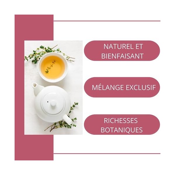 Rooibos Drainant : la tisane tropicale pour éliminer les excès en douceur | Naturelle et Délicieusement Fruité | boisson rafr