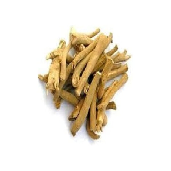 NACHT Ashwagandha Racine Withania Somnifera Sec 100 GMS Ashgandha Ginseng Indien Withania Somnifera