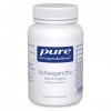 Pure Encapsulations - Ashwagandha - Extrait Concentré 1000mg de Ginseng Indien - Contribue au Fonctionnement Cognitif Normal 