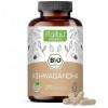 Ashwagandha Bio – Raibu Ashwaganda Gélules Hautement Dosé - Poudre de Racine d’Ashwaganda 270 Gélules avec 2 400 mg par Dose