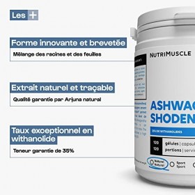 Ashwagandha Shoden | Concentration withanolide excellente 35% • Plante ayurvédique cultivée en Inde | Nutrimuscle | 30 Gélule