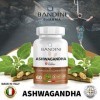 Bandini® Ashwagandha 60 gélules de Poudre dAshwagandha - Matière de première qualité KSM-66® - Supplément naturel Withania S