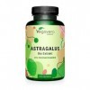 Astragale BIO Vegavero® | PREMIUM Qualité : 20% de Polysaccharides 150 mg | Sans Additifs | Extrait d’Astragalus membranace