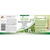 Fairvital | Extrait de Bacopa Monnieri 500mg Brahmi - 90 gélules - végan