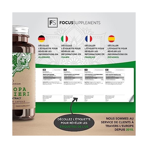 FS Bacopa Monnieri Capsules - 500mg par Portion | 120 Capsules Végétaliennes Brahmi | Supplément Dextrait de Bacopa concent