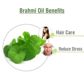 BRAHMI OIL Piper nigrum 250 ml By Salvia