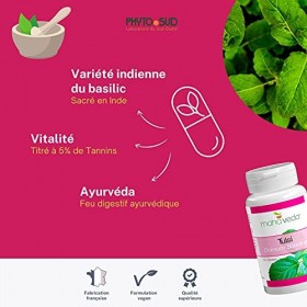 TULSI - Gelules de Tulsi titré en tanins pour la vitalité - Complément Alimentaire Vegan et Naturel - Dosage renforcé à 425mg